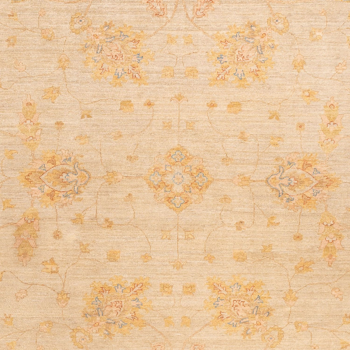 Ziegler Teppich - 348 x 255 cm - beige
