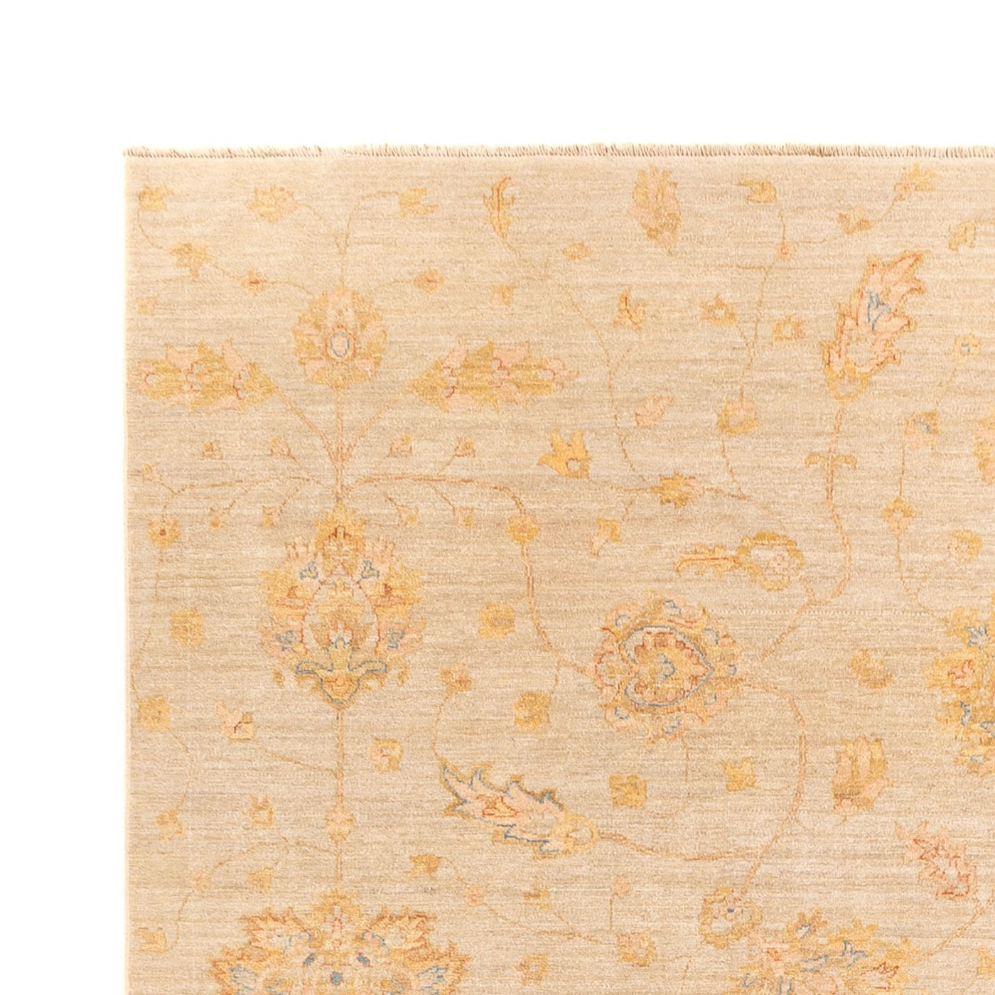 Ziegler Teppich - 348 x 255 cm - beige