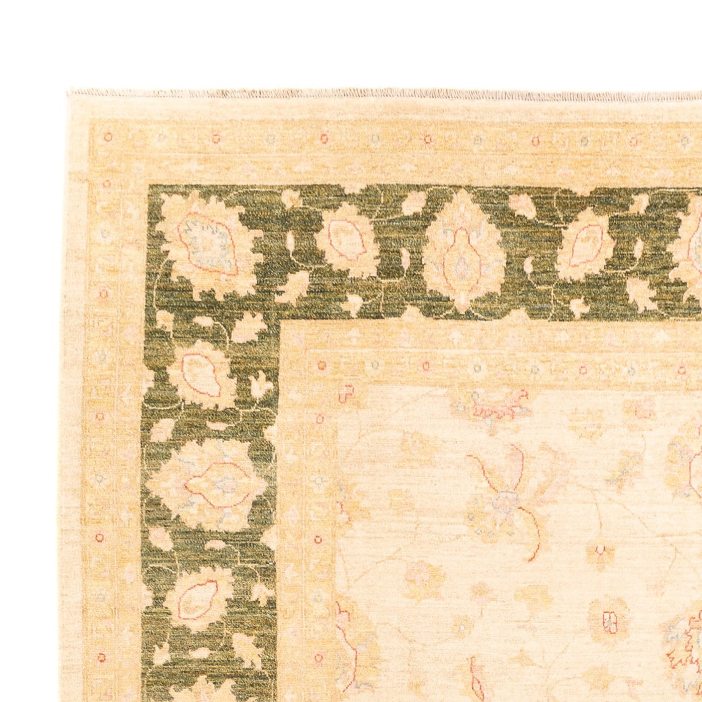 Ziegler Teppich - 338 x 251 cm - beige