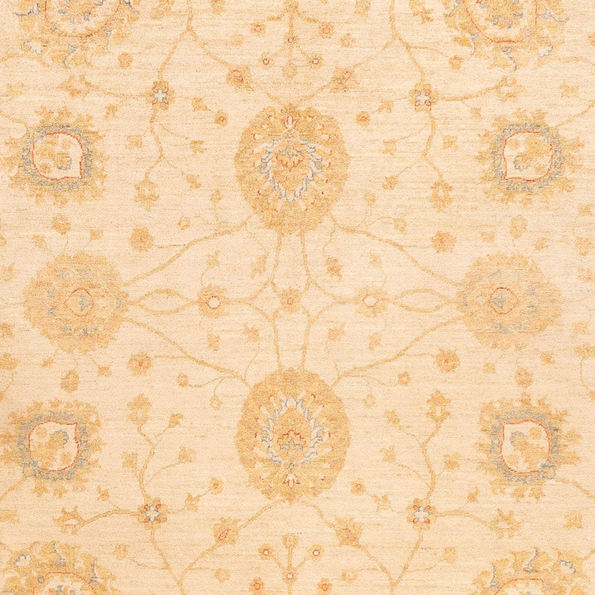 Ziegler Teppich - 325 x 250 cm - beige