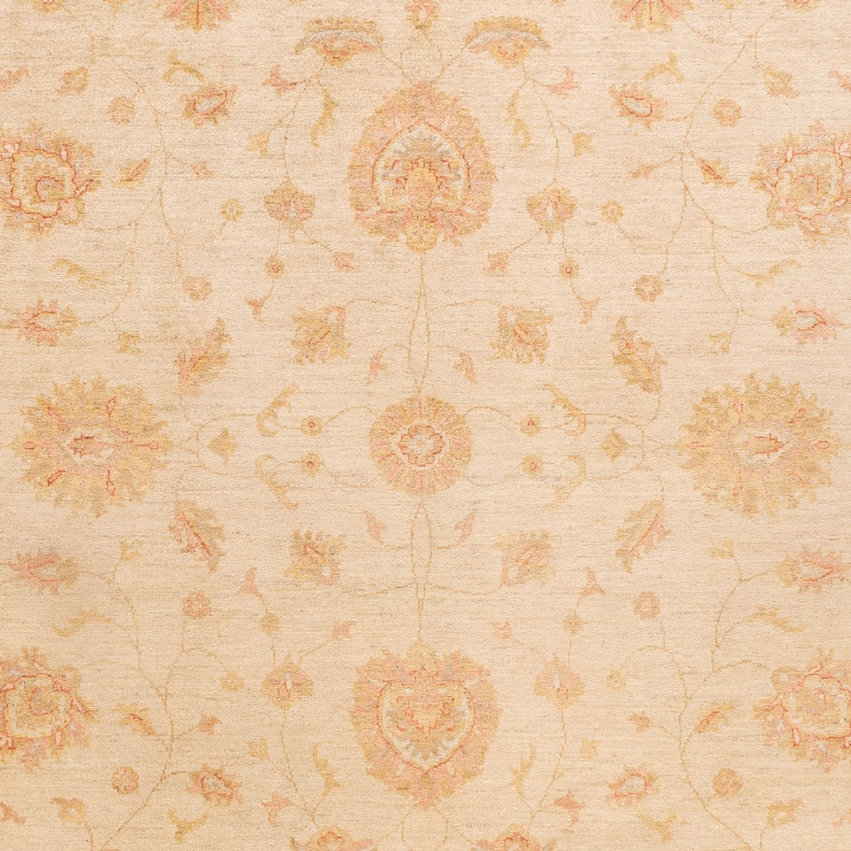 Ziegler Teppich - 346 x 257 cm - beige