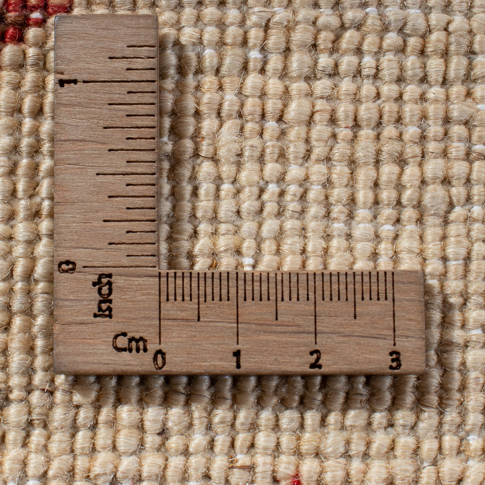 Ziegler Teppich - Ariana - 299 x 209 cm - mehrfarbig