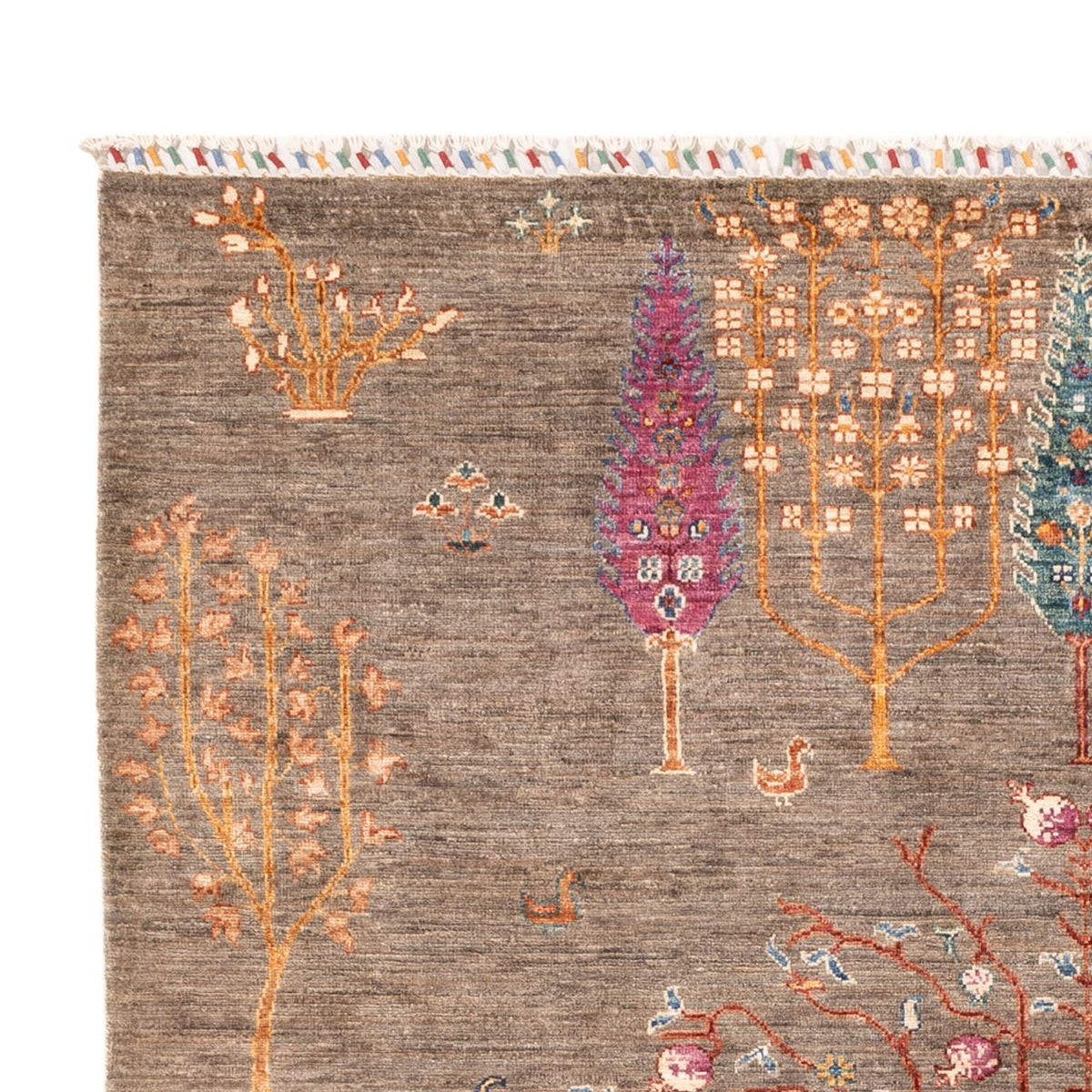 Ziegler Teppich - Ariana - 237 x 171 cm - grau