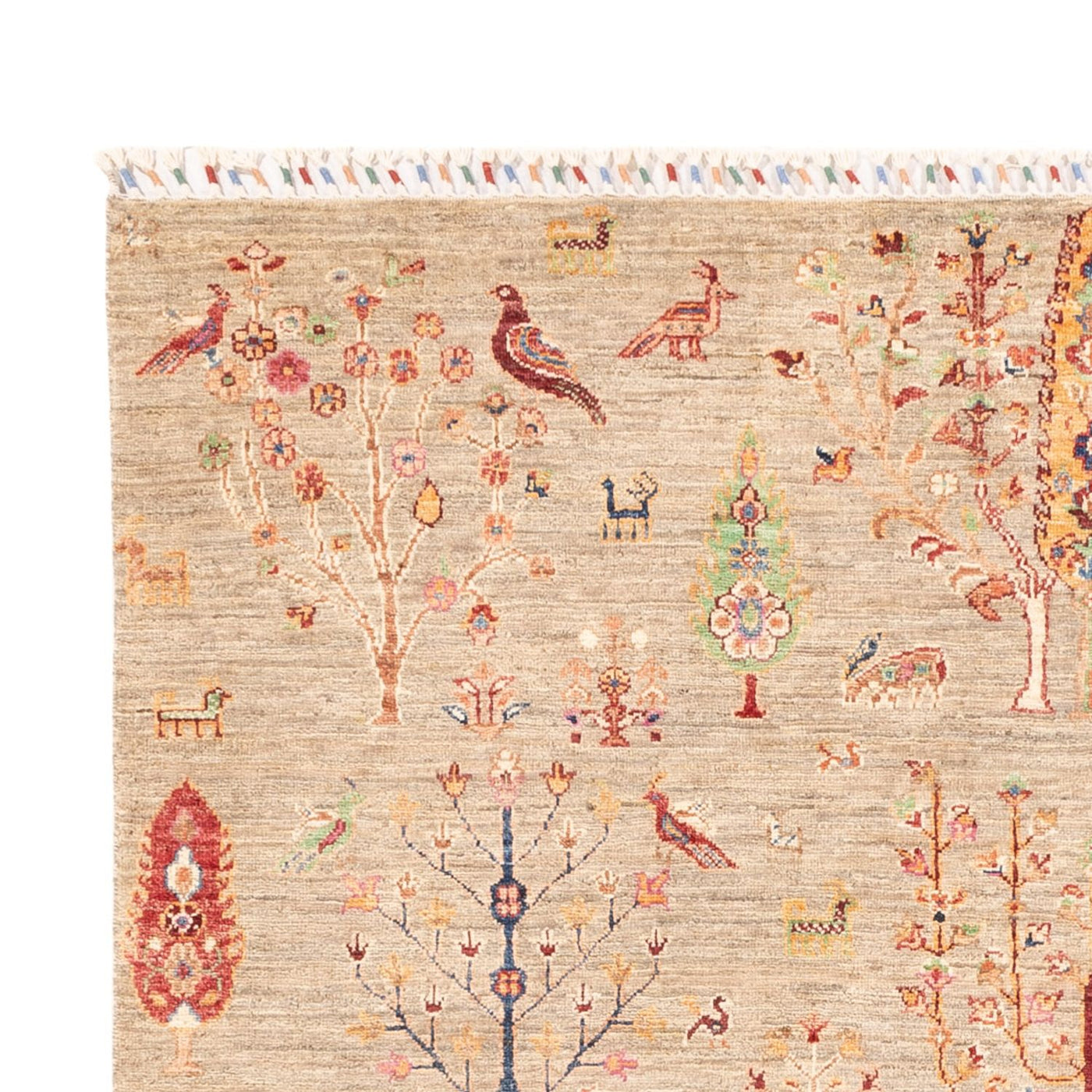 Ziegler Teppich - Ariana - 242 x 169 cm - hellbeige