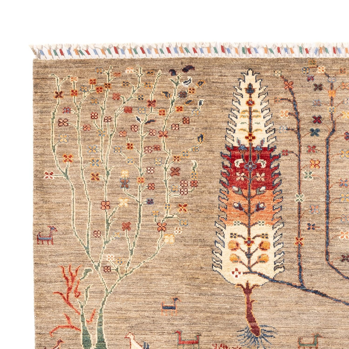 Ziegler Teppich - Ariana - 240 x 169 cm - dunkelbeige