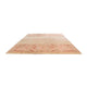 Ziegler Teppich - Shal - 389 x 302 cm - beige