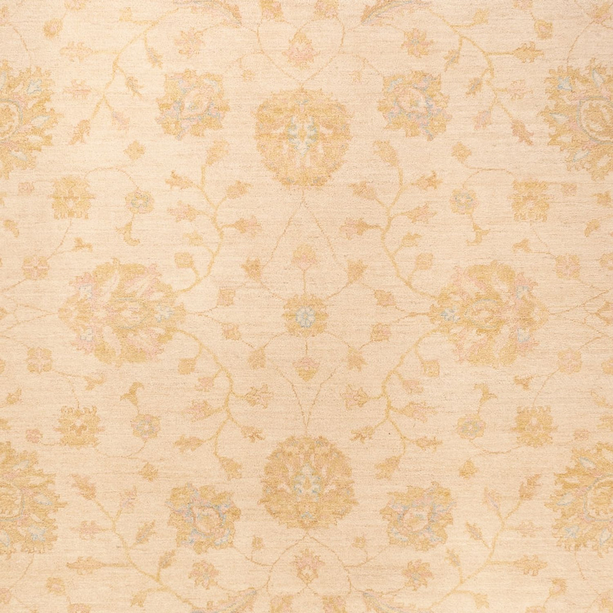 Ziegler Teppich - 368 x 274 cm - beige