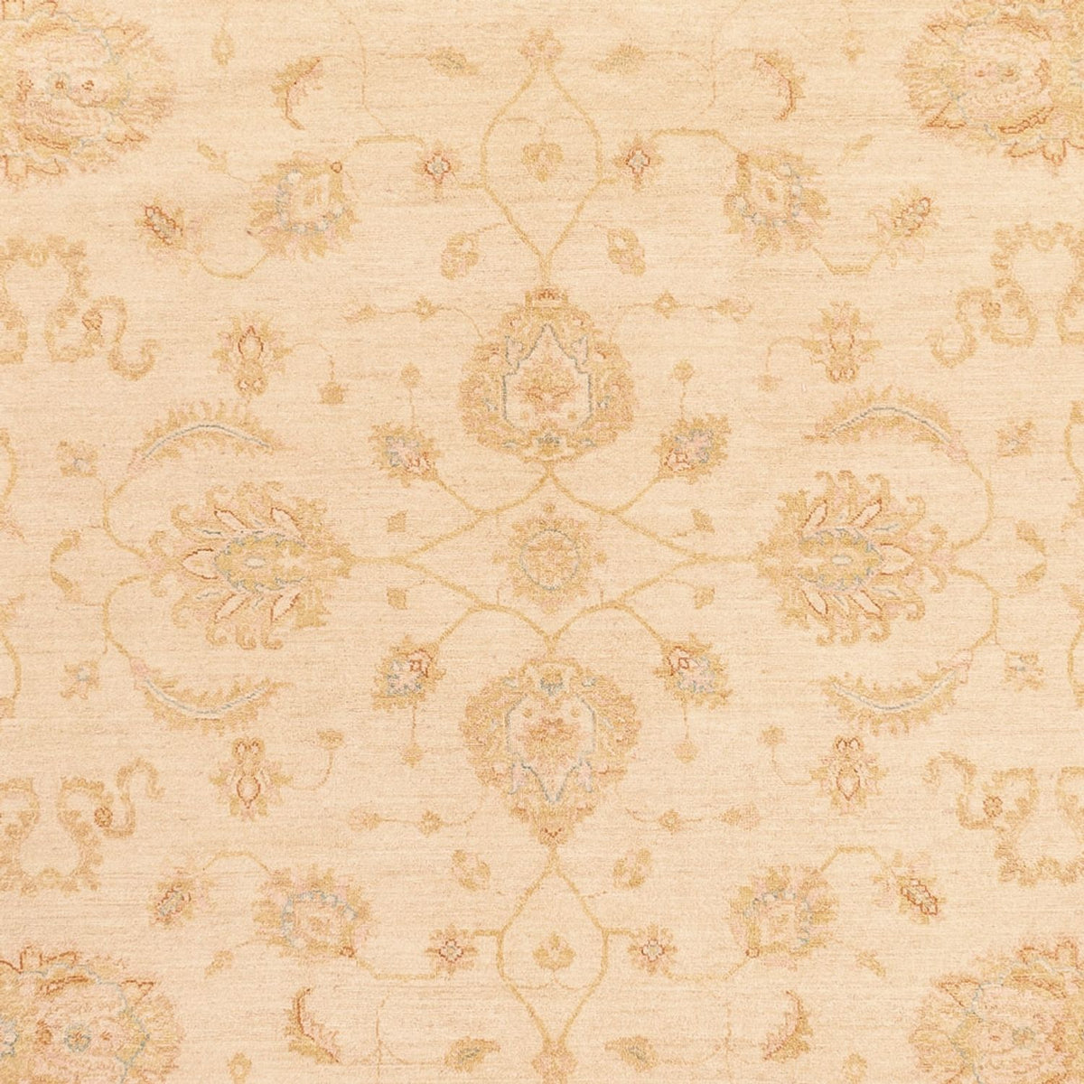 Ziegler Teppich - 364 x 277 cm - beige