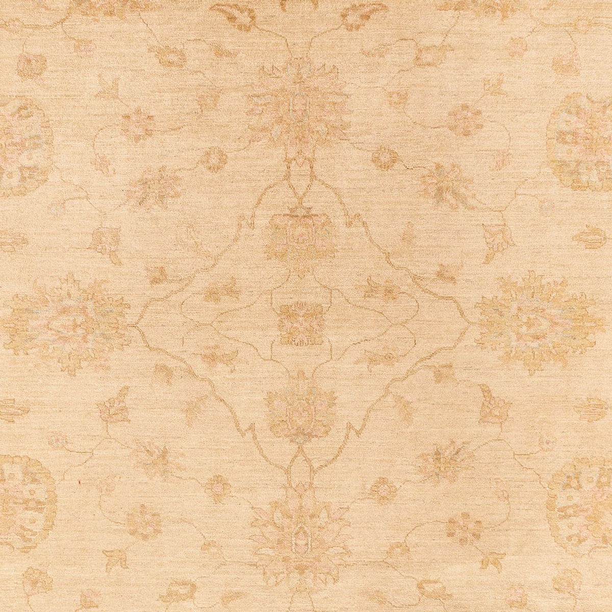 Ziegler Teppich - 375 x 273 cm - beige