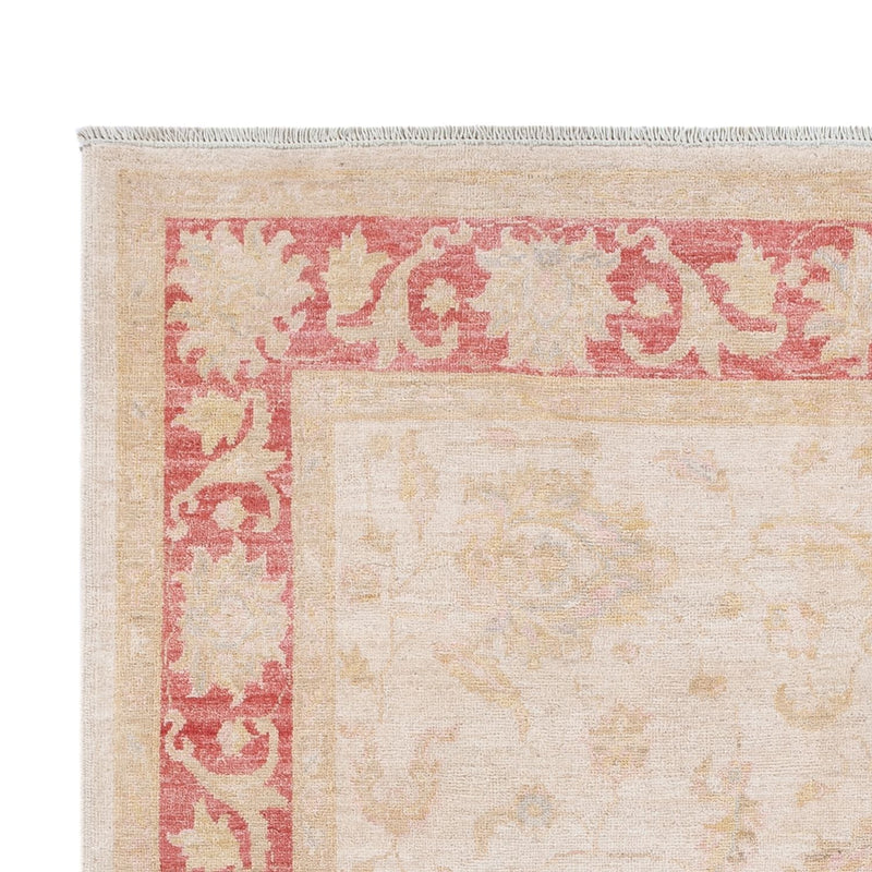 Ziegler Teppich - 240 x 162 cm - creme