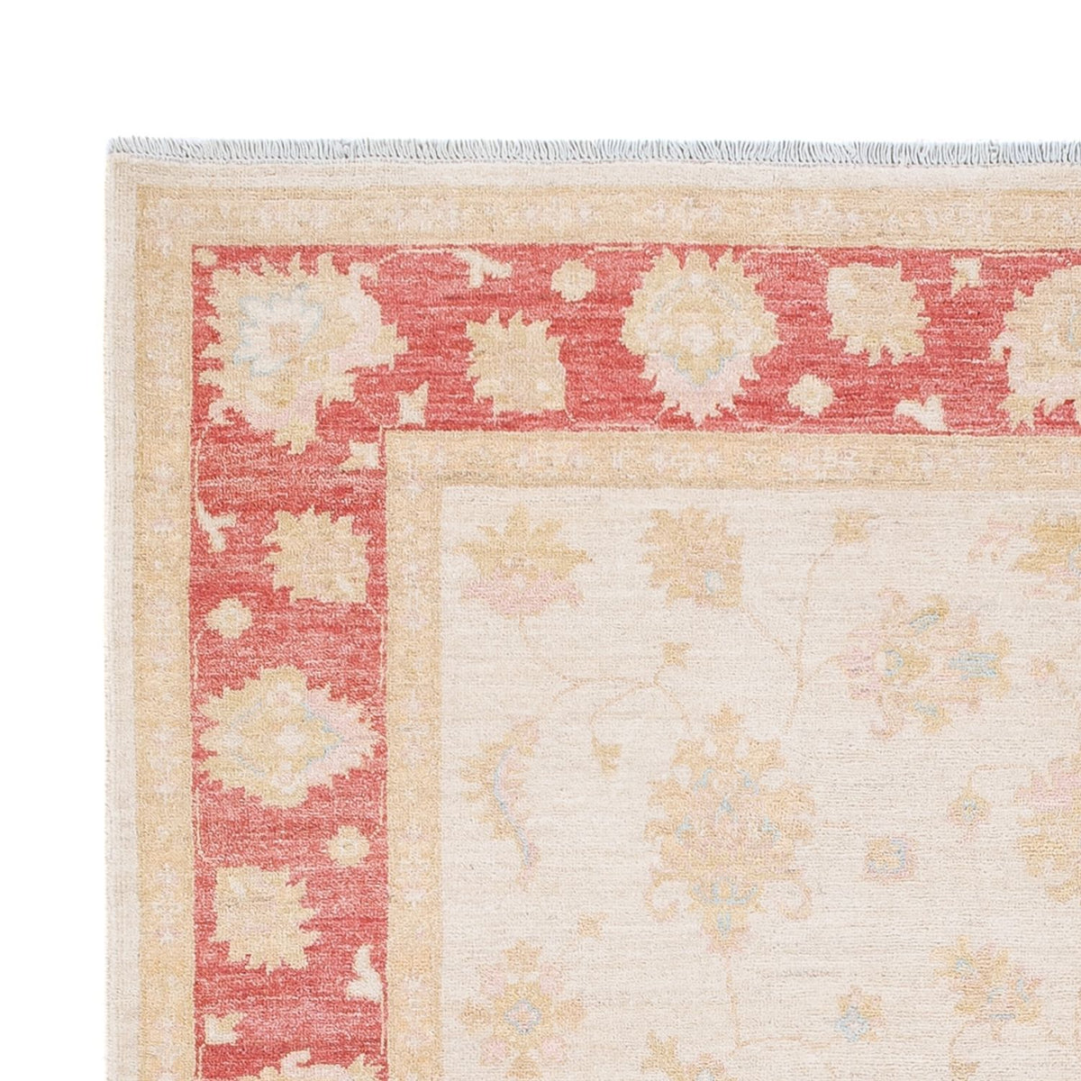 Ziegler Teppich - 240 x 175 cm - creme