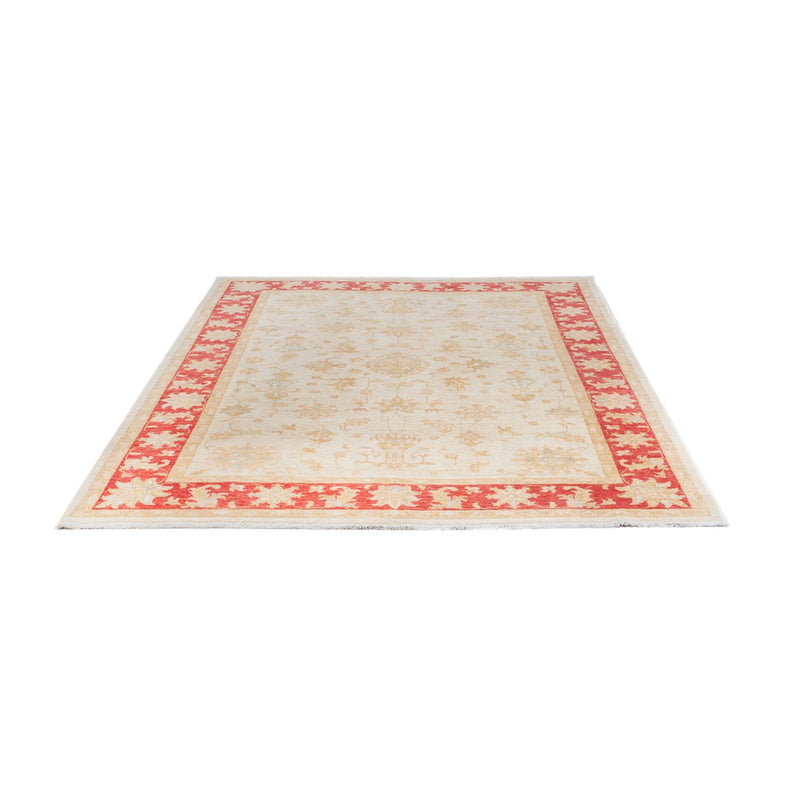 Ziegler Teppich - 241 x 171 cm - creme