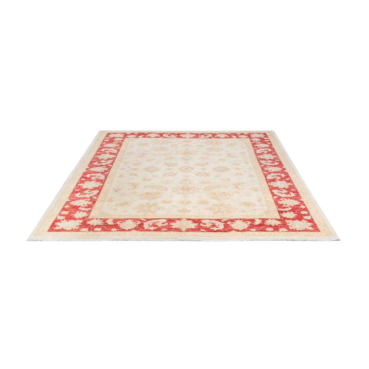 Ziegler Teppich - 238 x 173 cm - creme