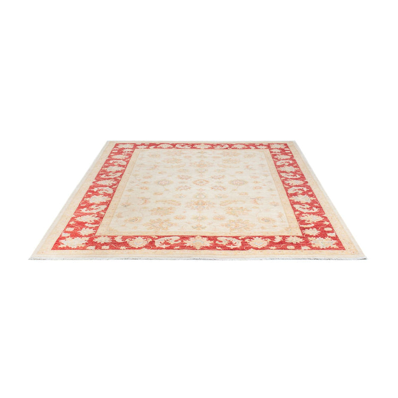 Ziegler Teppich - 238 x 173 cm - creme