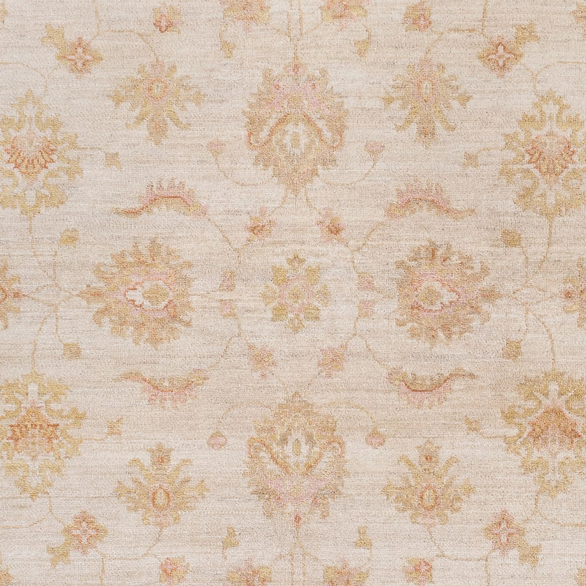 Ziegler Teppich - 238 x 170 cm - creme