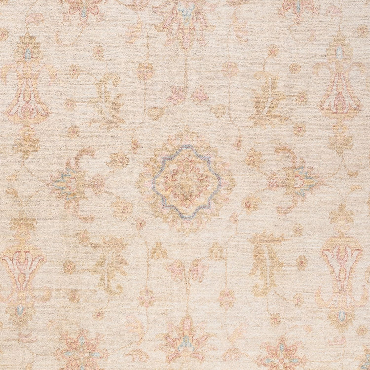 Ziegler Teppich - 254 x 168 cm - beige