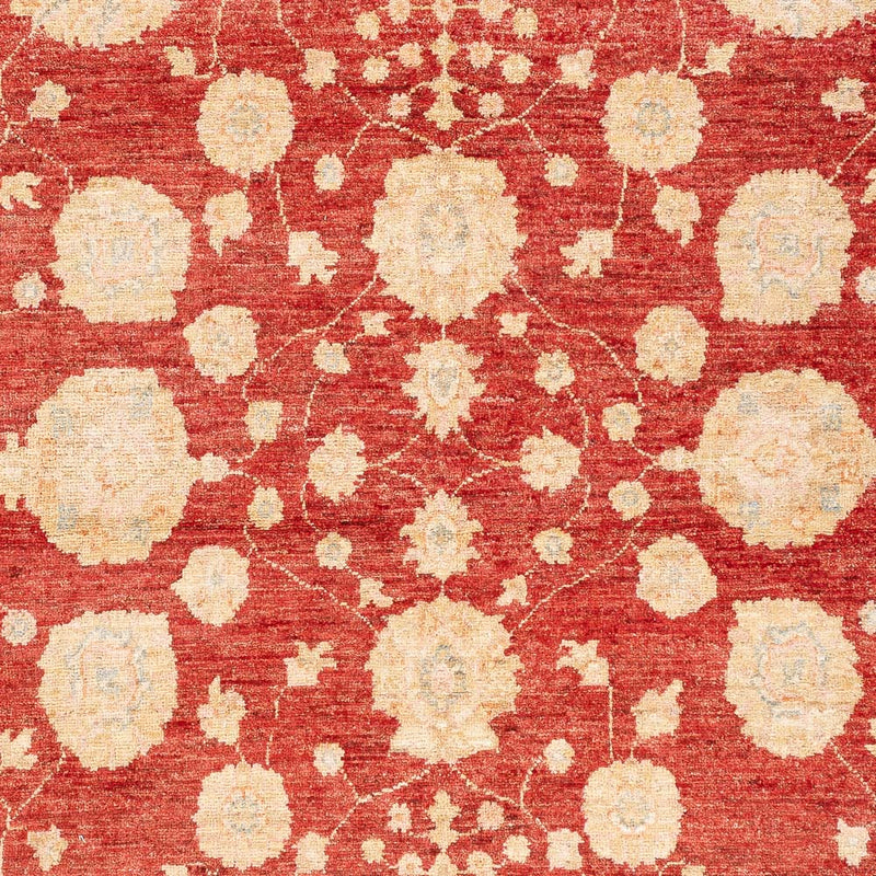 Ziegler Teppich - 210 x 152 cm - rot