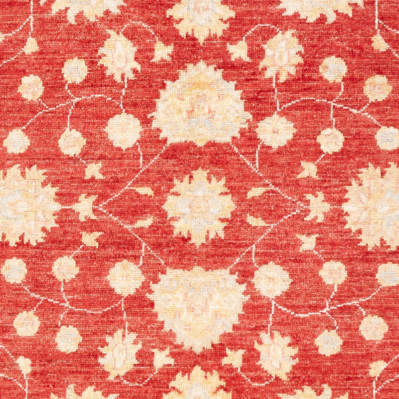 Ziegler Teppich - 177 x 126 cm - rot
