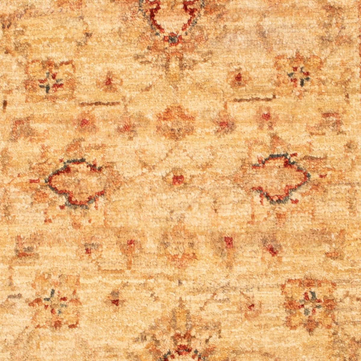Ziegler Teppich - 88 x 61 cm - beige