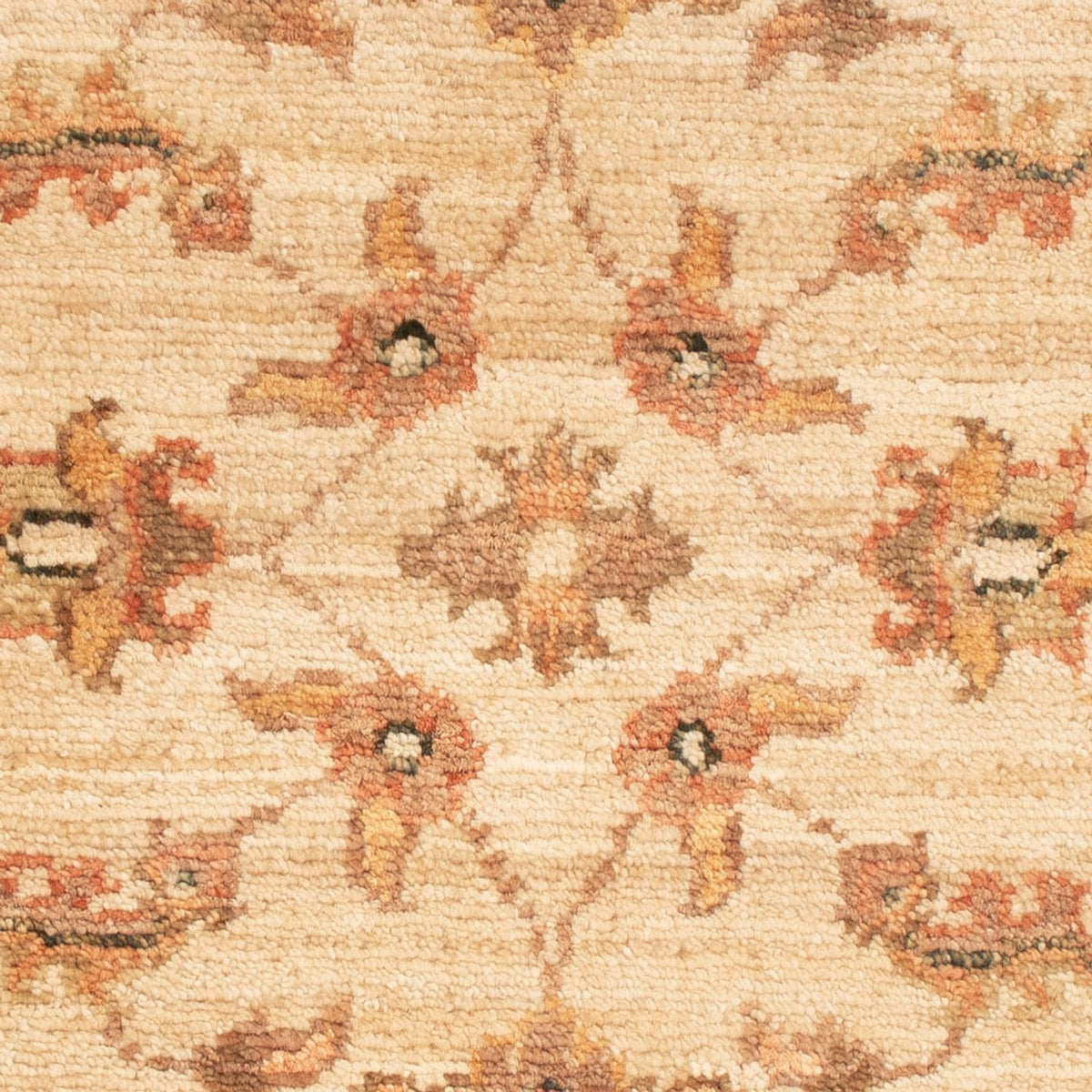 Ziegler Teppich - 66 x 50 cm - beige