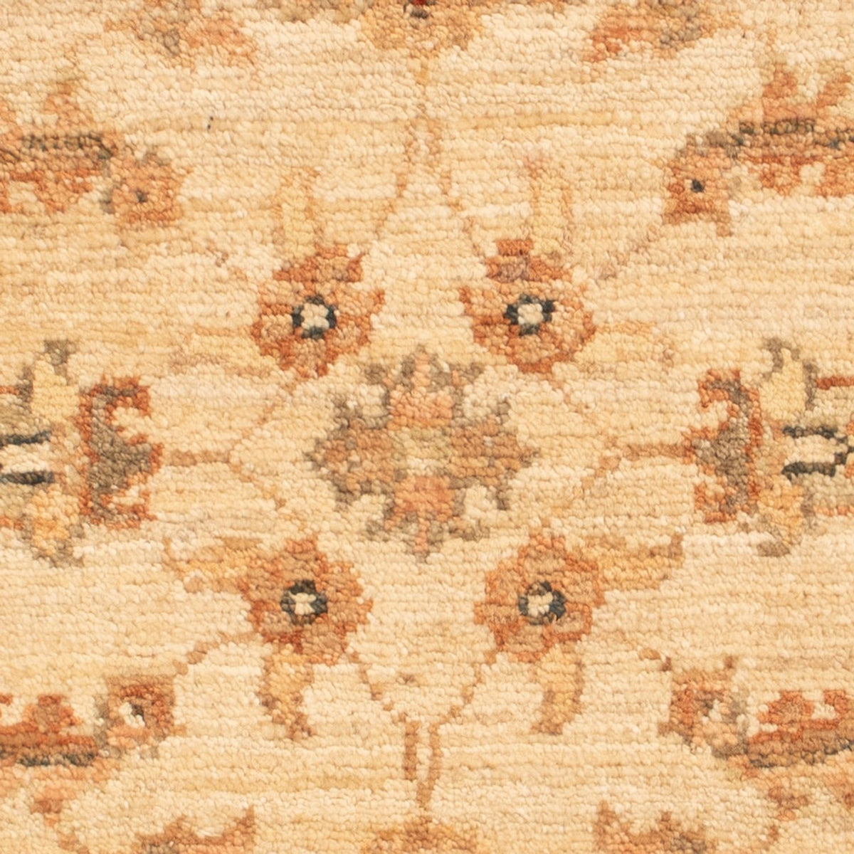 Ziegler Teppich - 64 x 49 cm - beige