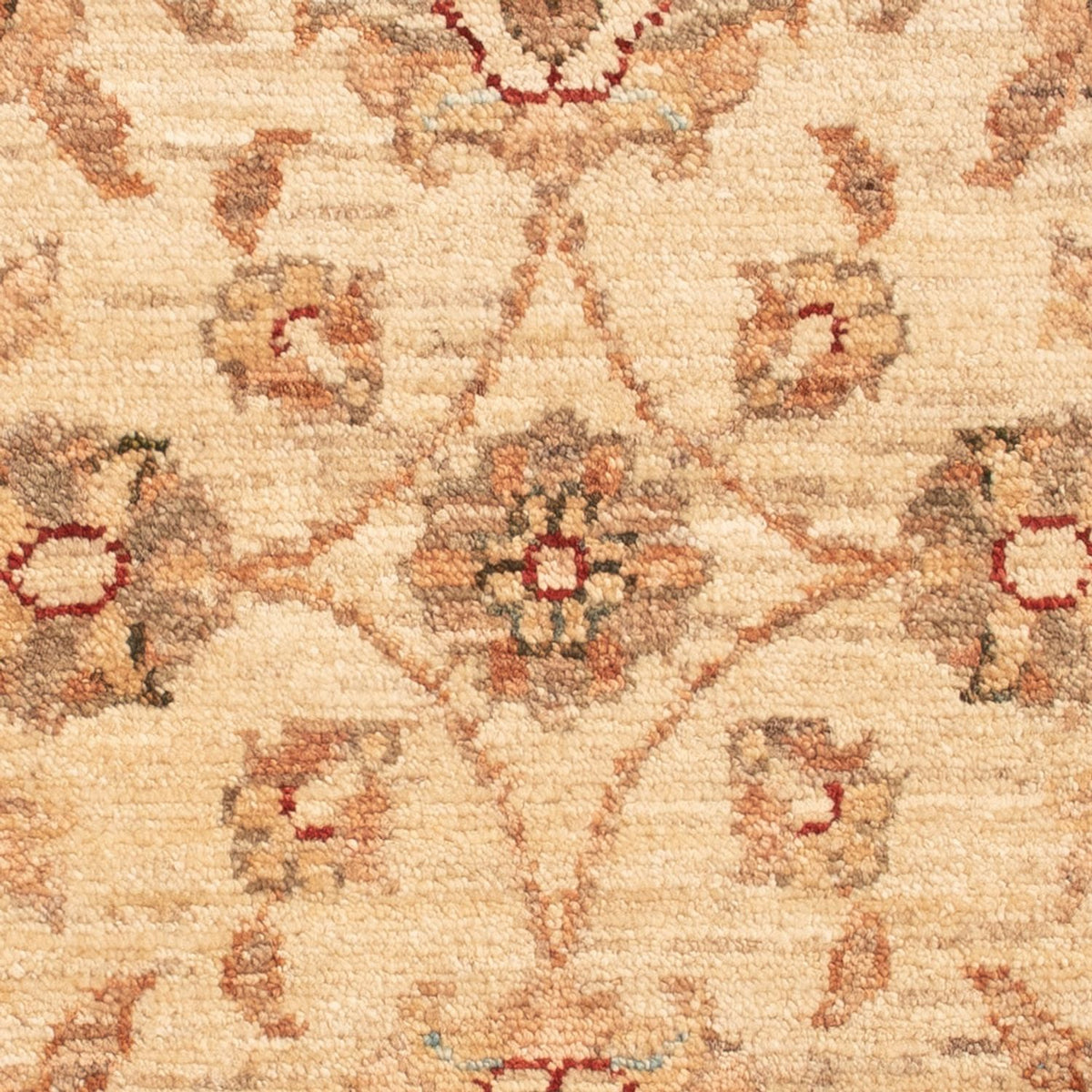 Ziegler Teppich - 72 x 50 cm - beige