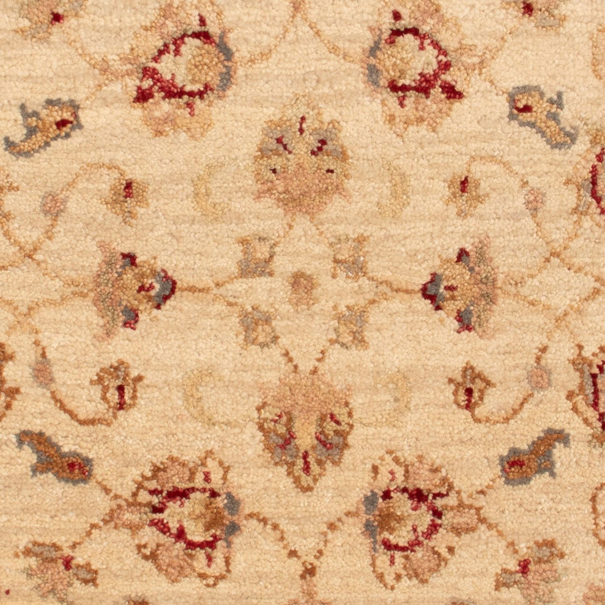 Ziegler Teppich - 90 x 60 cm - beige