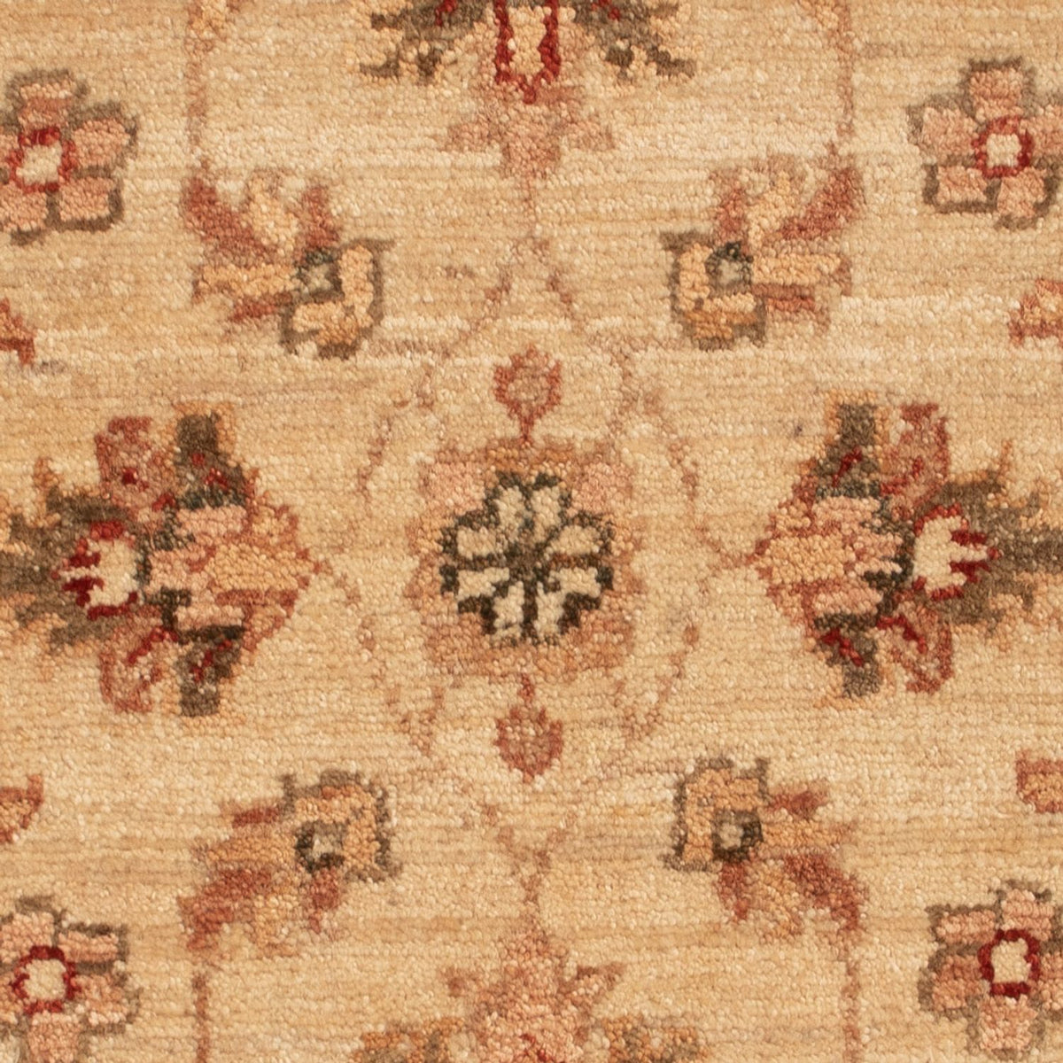 Ziegler Teppich - 70 x 50 cm - beige