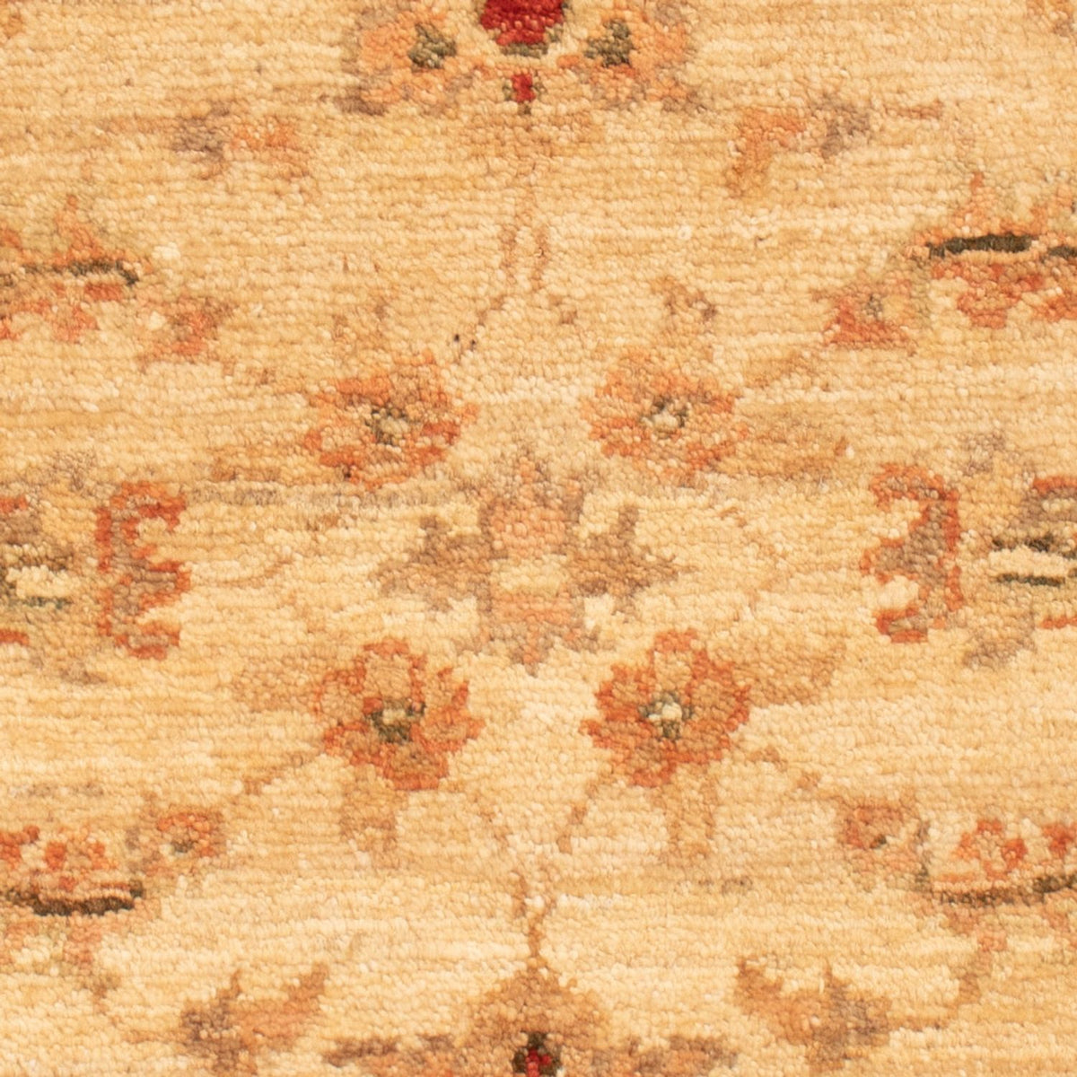 Ziegler Teppich - 67 x 53 cm - beige