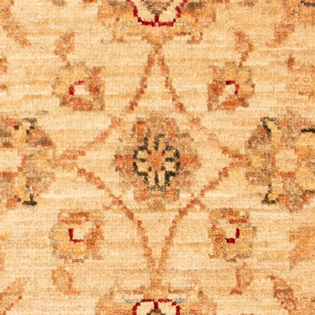 Ziegler Teppich - 71 x 51 cm - beige