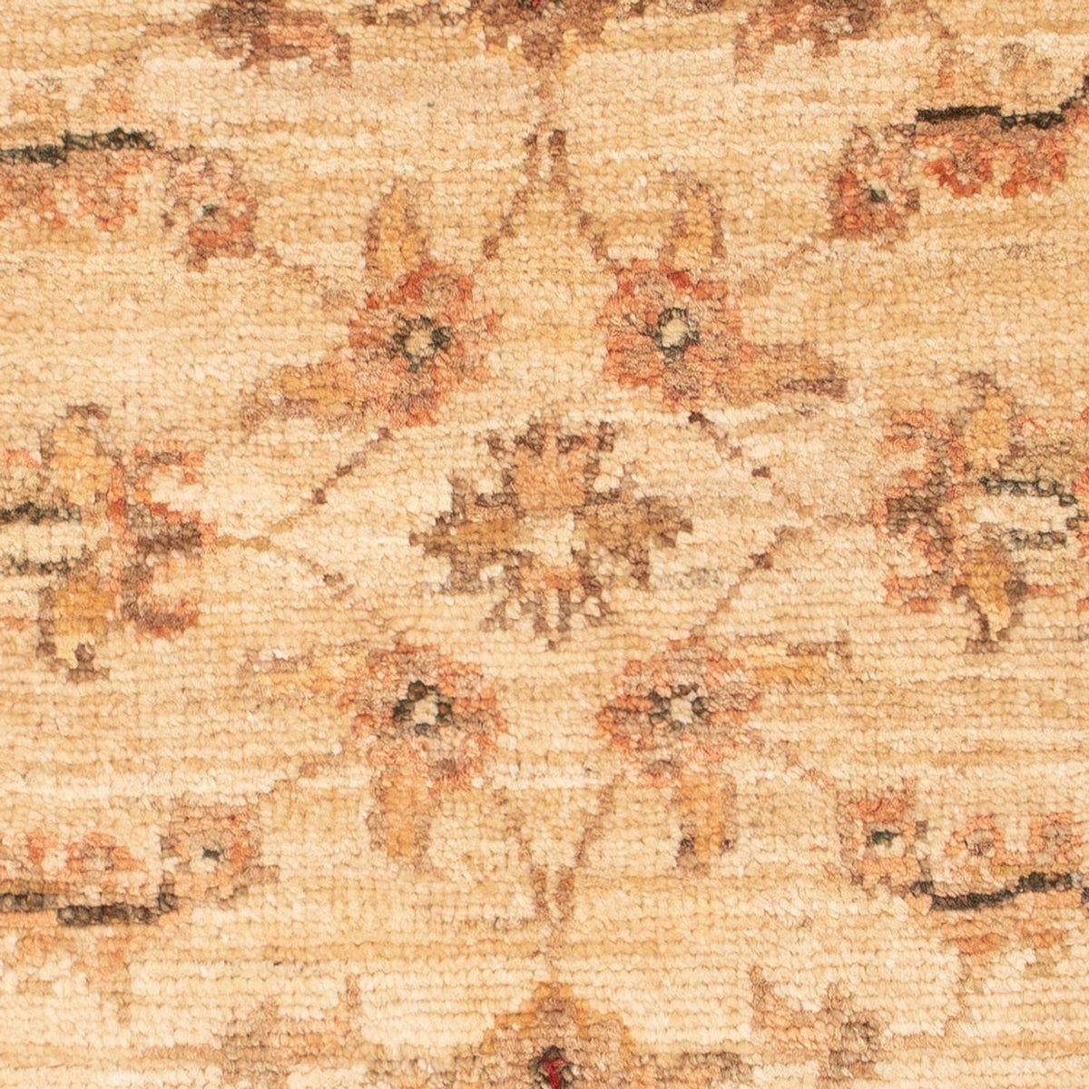 Ziegler Teppich - 65 x 49 cm - beige