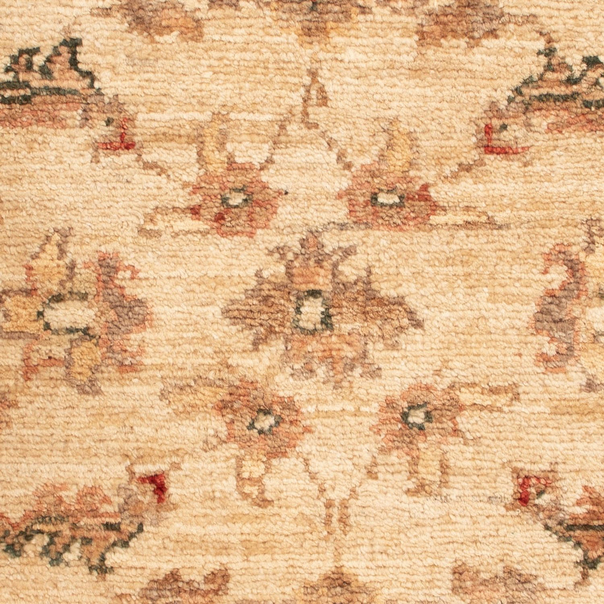 Ziegler Teppich - 65 x 50 cm - beige