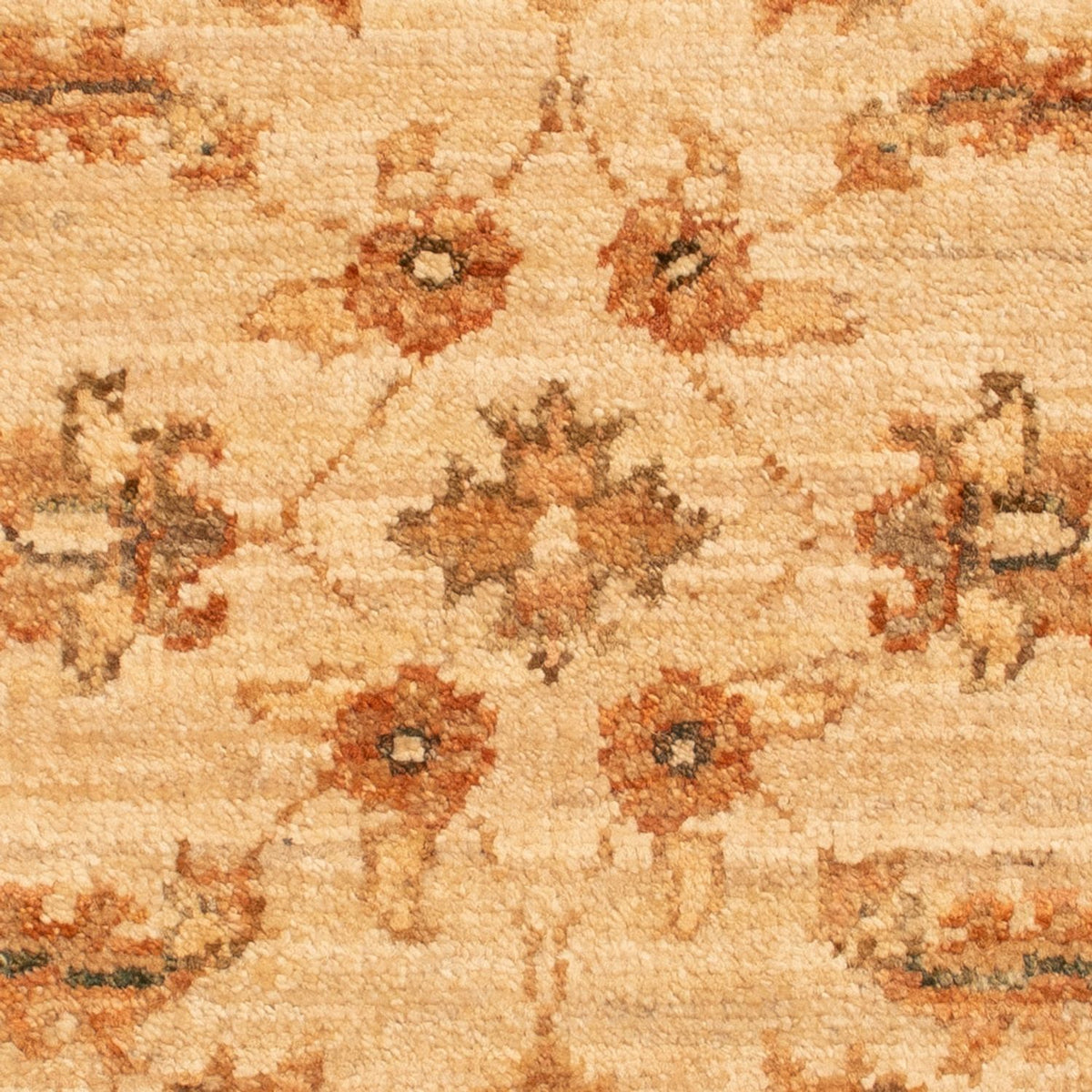 Ziegler Teppich - 68 x 51 cm - beige