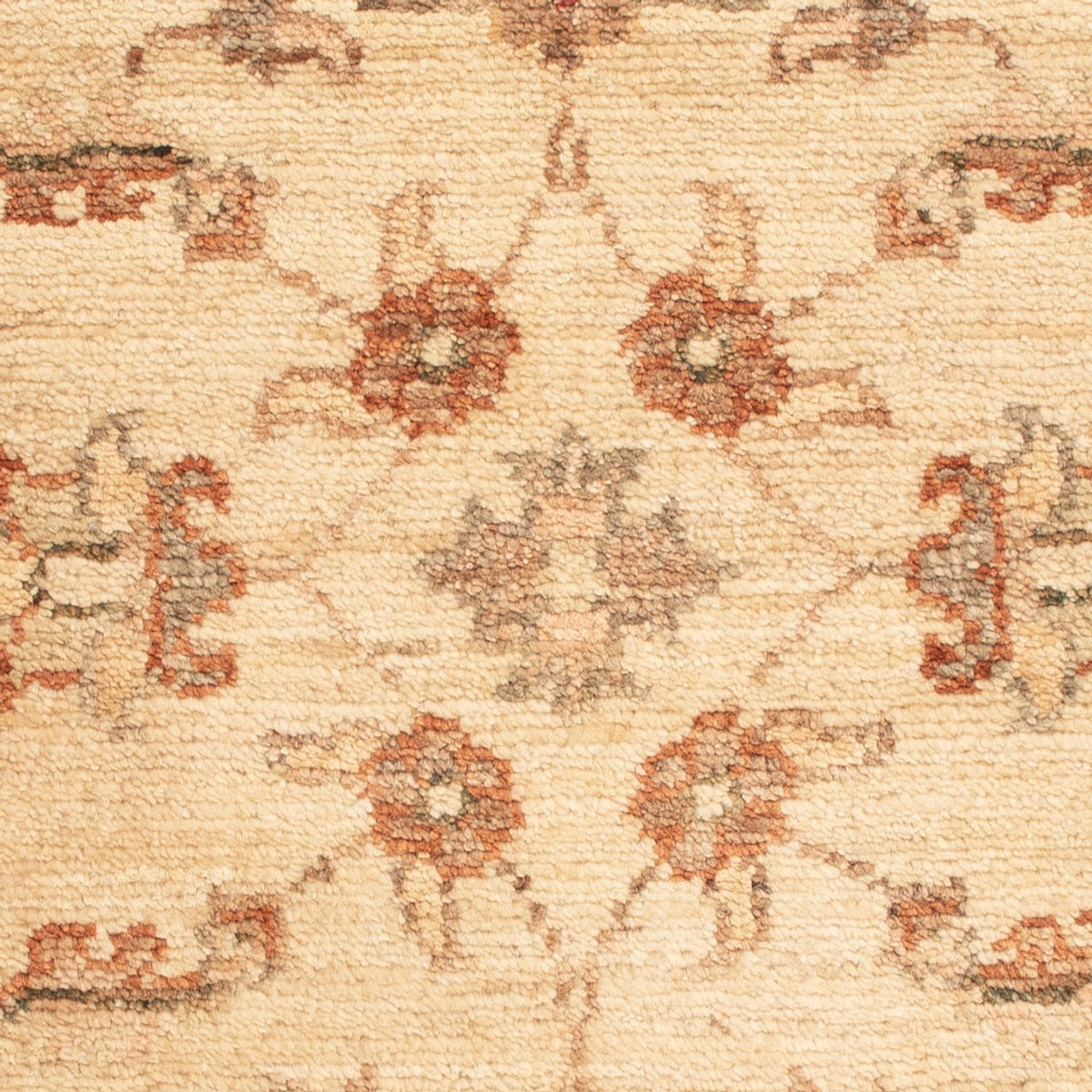Ziegler Teppich - 65 x 50 cm - beige