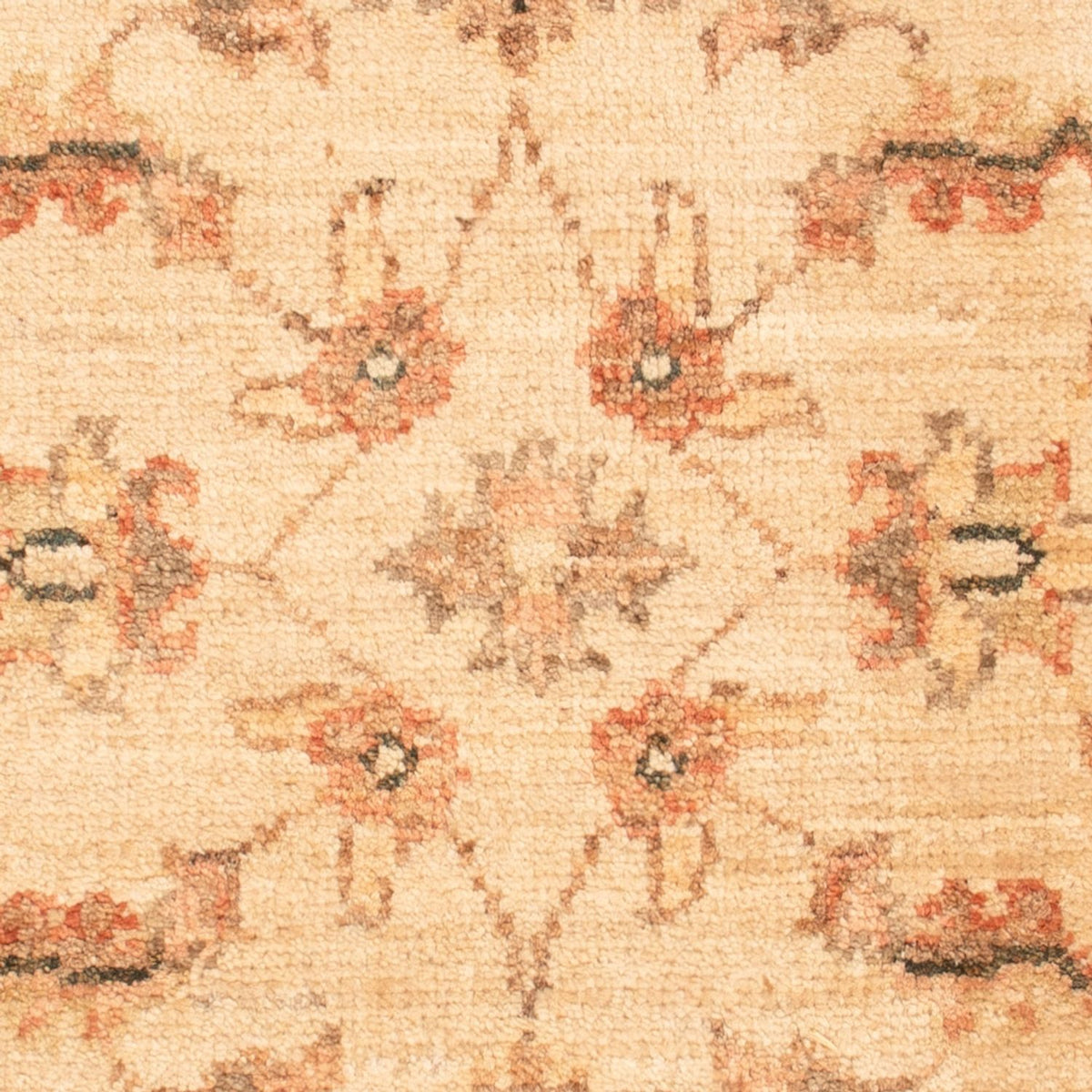 Ziegler Teppich - 70 x 50 cm - beige