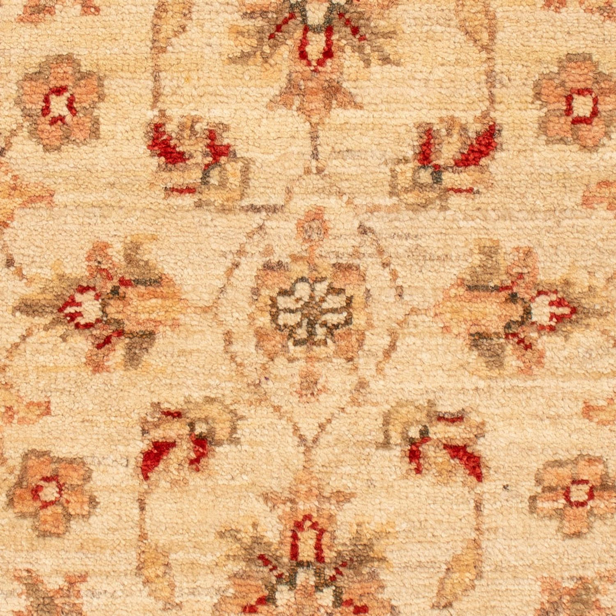 Ziegler Teppich - 70 x 50 cm - beige