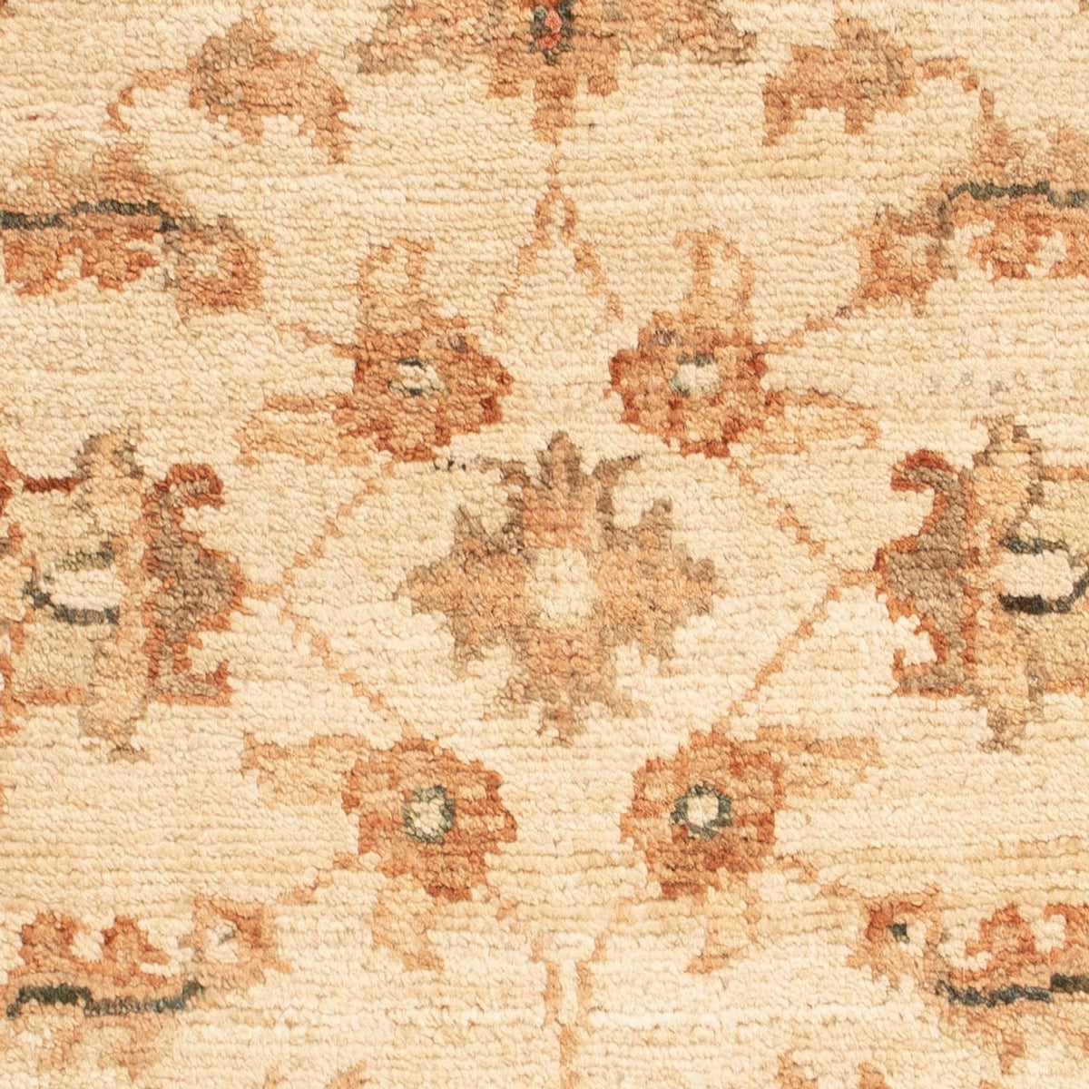 Ziegler Teppich - 69 x 49 cm - beige