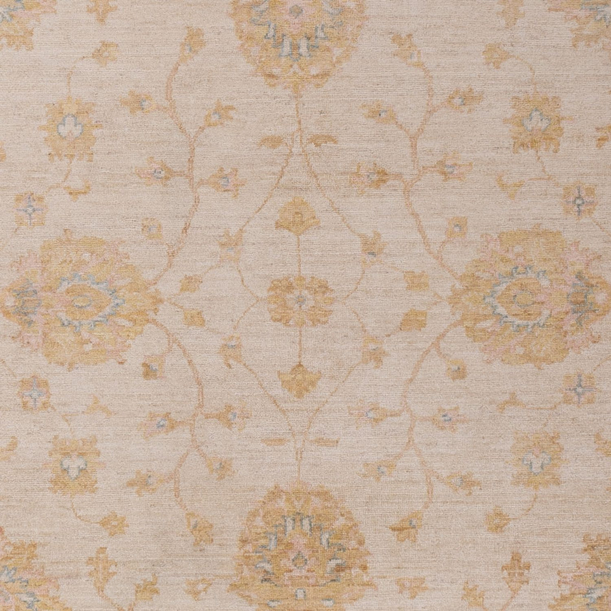 Ziegler Teppich - 297 x 207 cm - beige