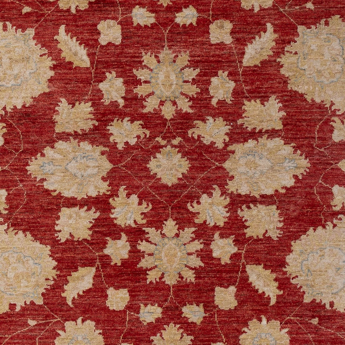 Ziegler Teppich - 295 x 201 cm - dunkelrot