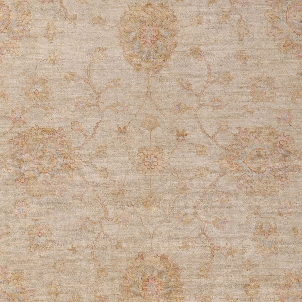 Ziegler Teppich - 293 x 208 cm - beige