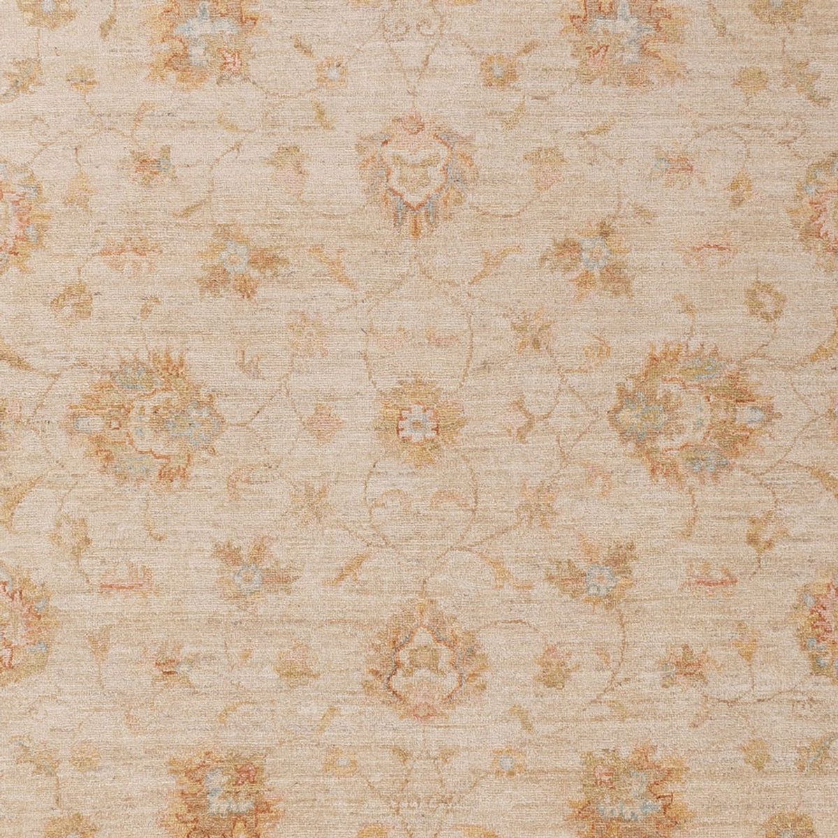 Ziegler Teppich - 293 x 204 cm - beige
