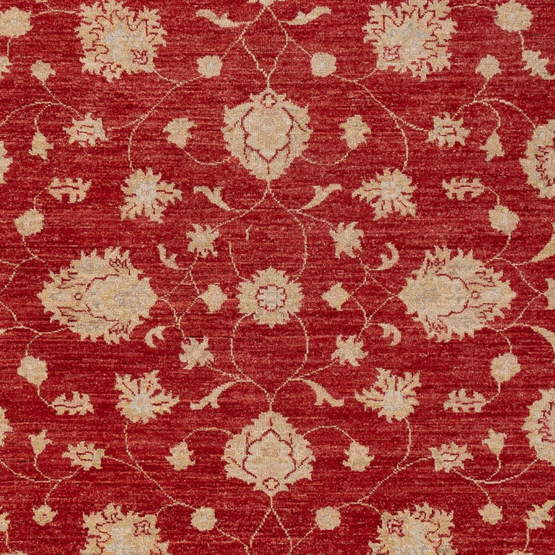 Ziegler Teppich - 298 x 210 cm - rot