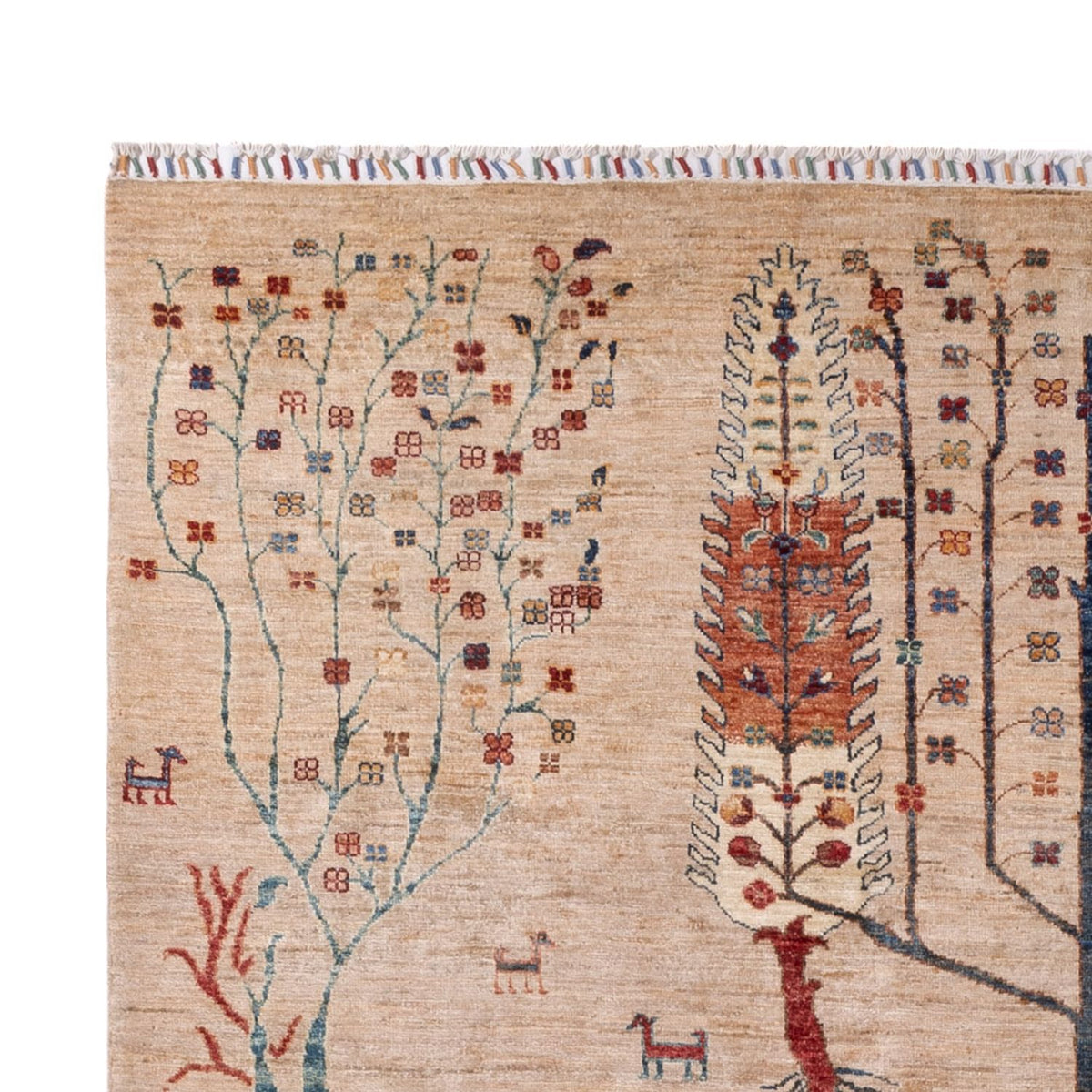 Ziegler Teppich - Ariana - 303 x 204 cm - beige