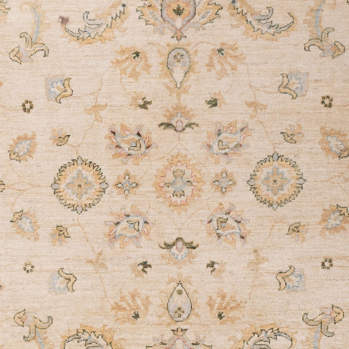 Ziegler Teppich - 304 x 204 cm - beige