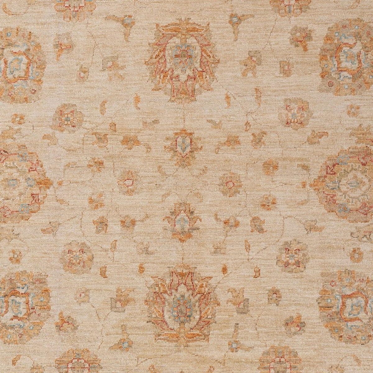 Ziegler Teppich - 299 x 205 cm - beige