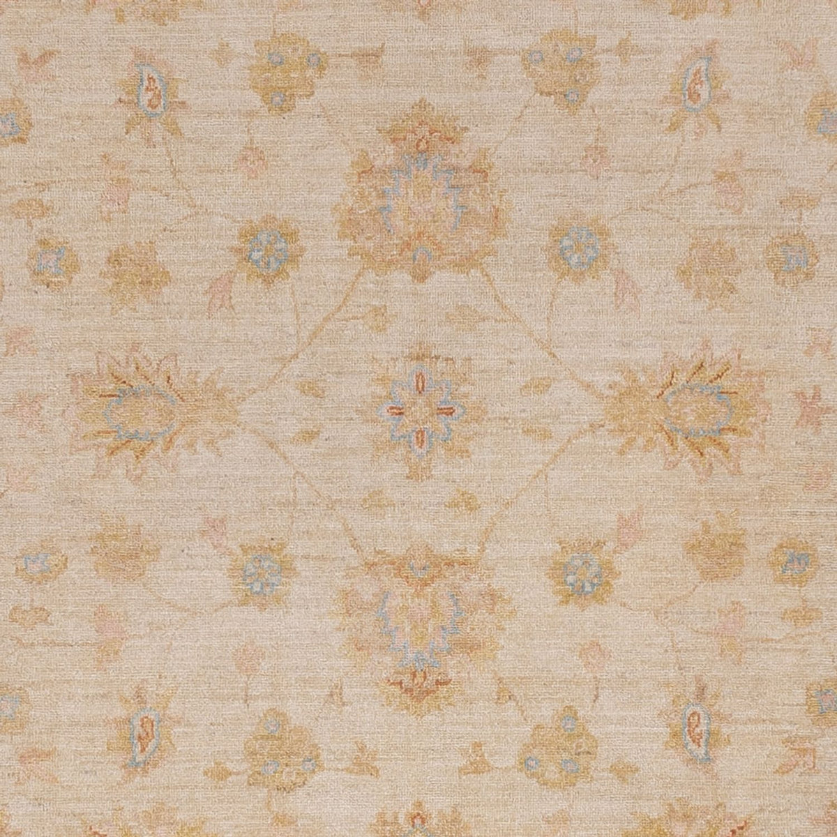 Ziegler Teppich - 297 x 257 cm - beige