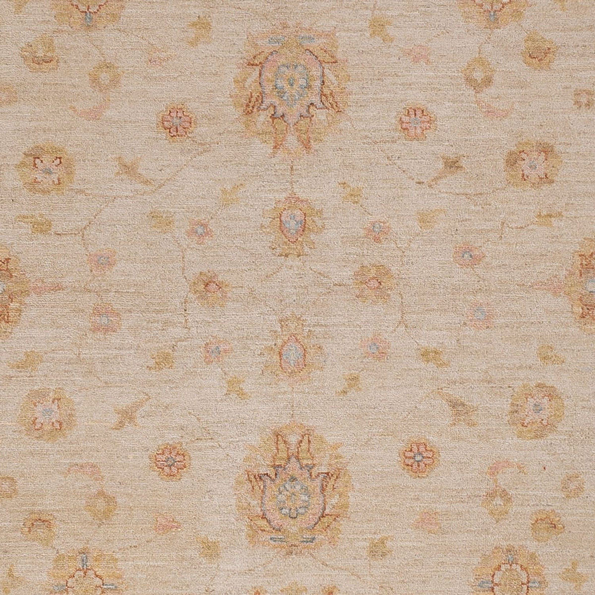 Ziegler Teppich - 291 x 250 cm - beige