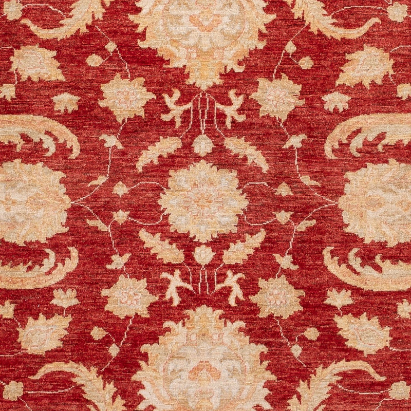 Ziegler Teppich 297x252cm - Orientteppich