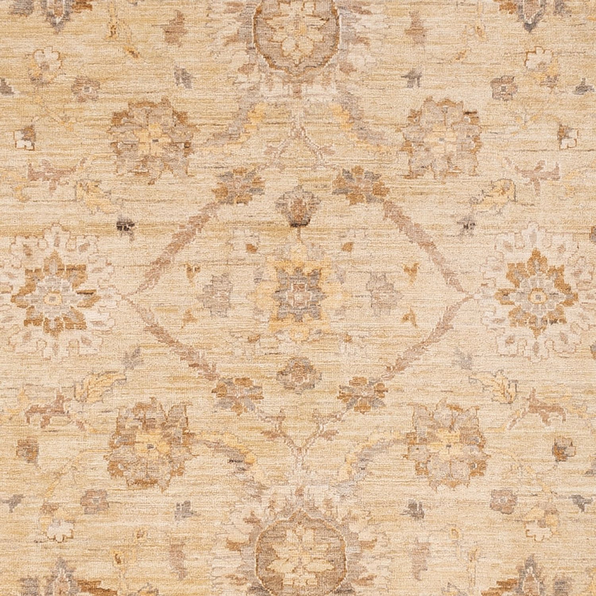 Ziegler Teppich - 290 x 244 cm - beige
