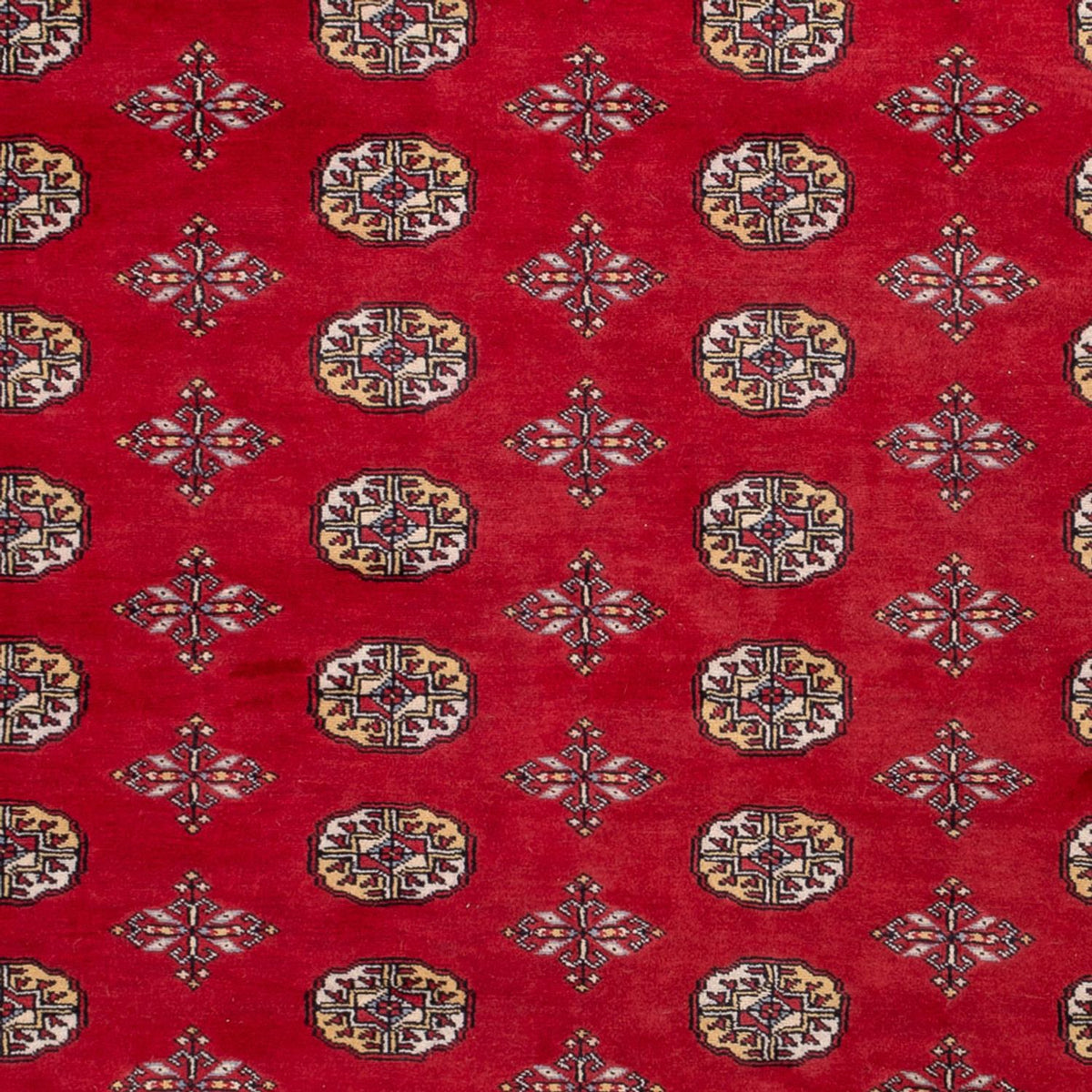 Afghan Teppich - Buchara - 292 x 206 cm - rot